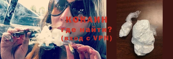 индика Медногорск