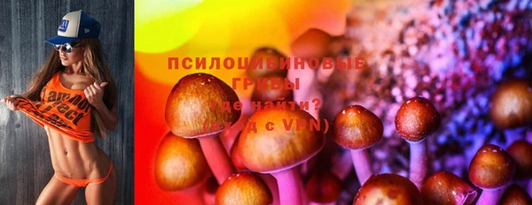 прущие крисы Абаза
