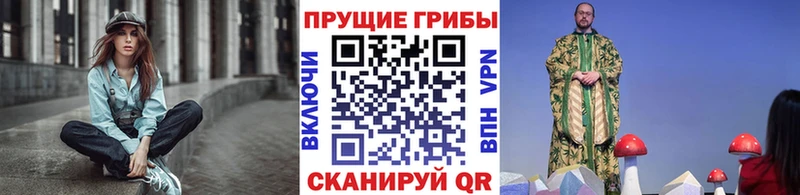 купить закладку  Щёлкино  Псилоцибиновые грибы MAGIC MUSHROOMS 